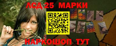 шишки Брянск
