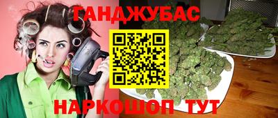 шишки Брянск